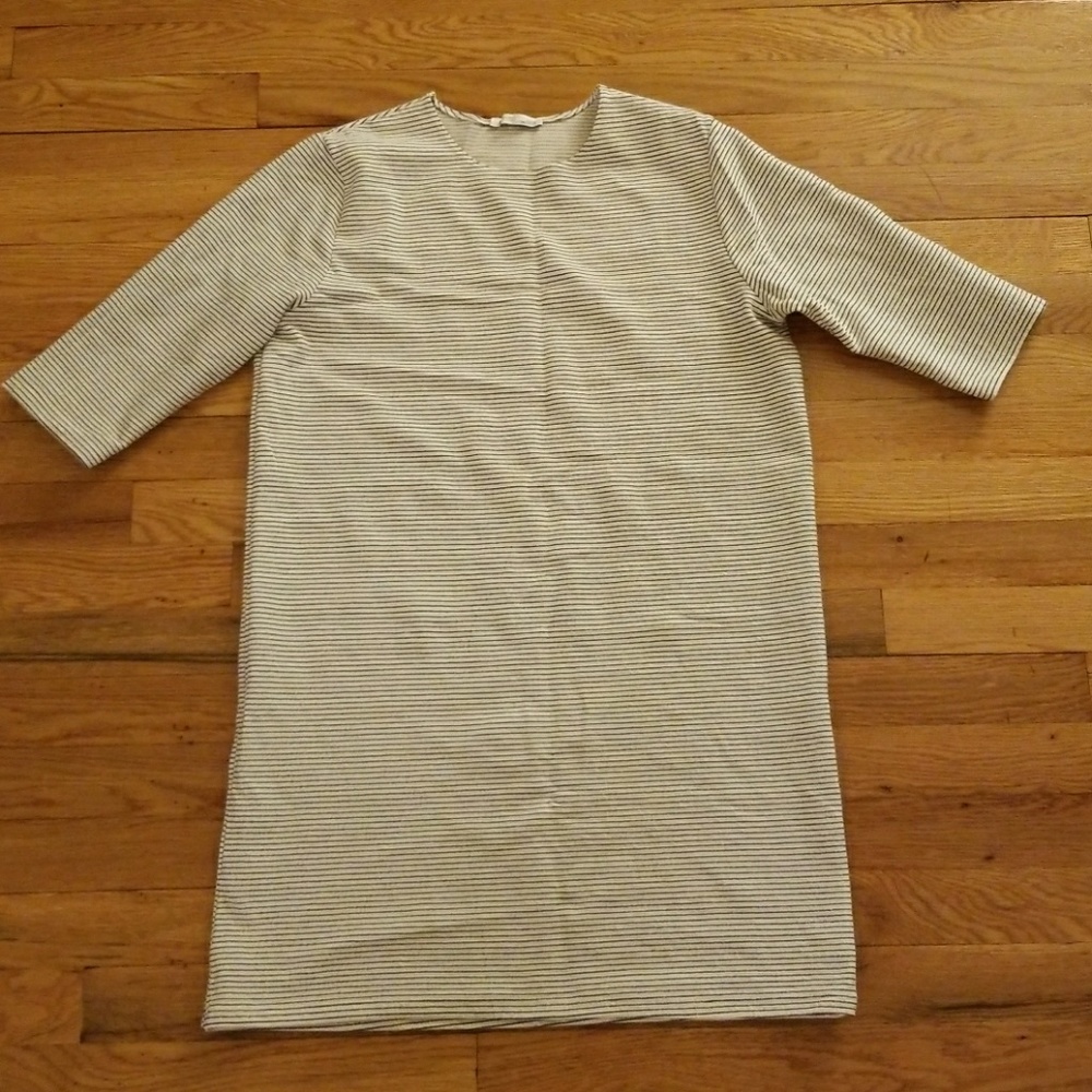 Zara dress